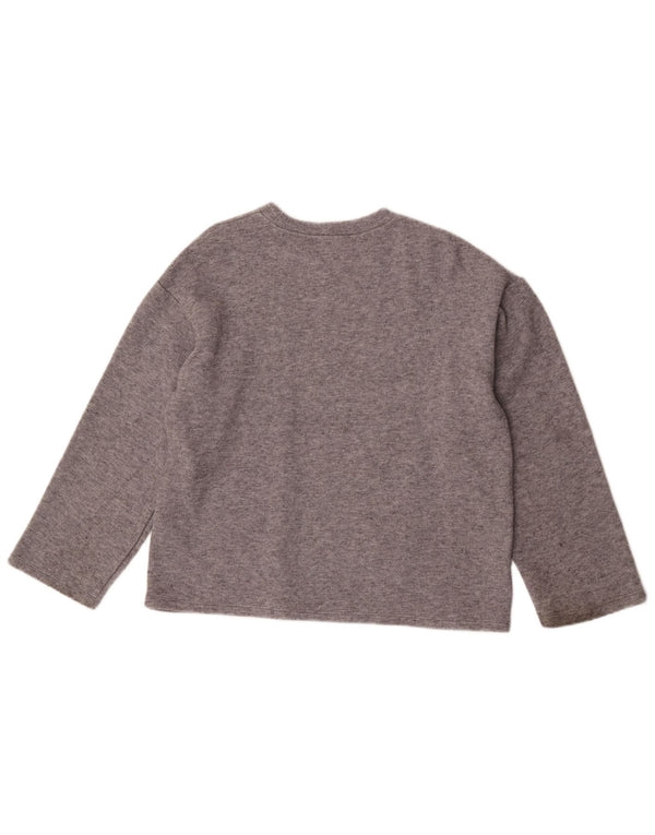 Zara Damen Übergroßes Top Langarm UK 10 Small Graue Viskose