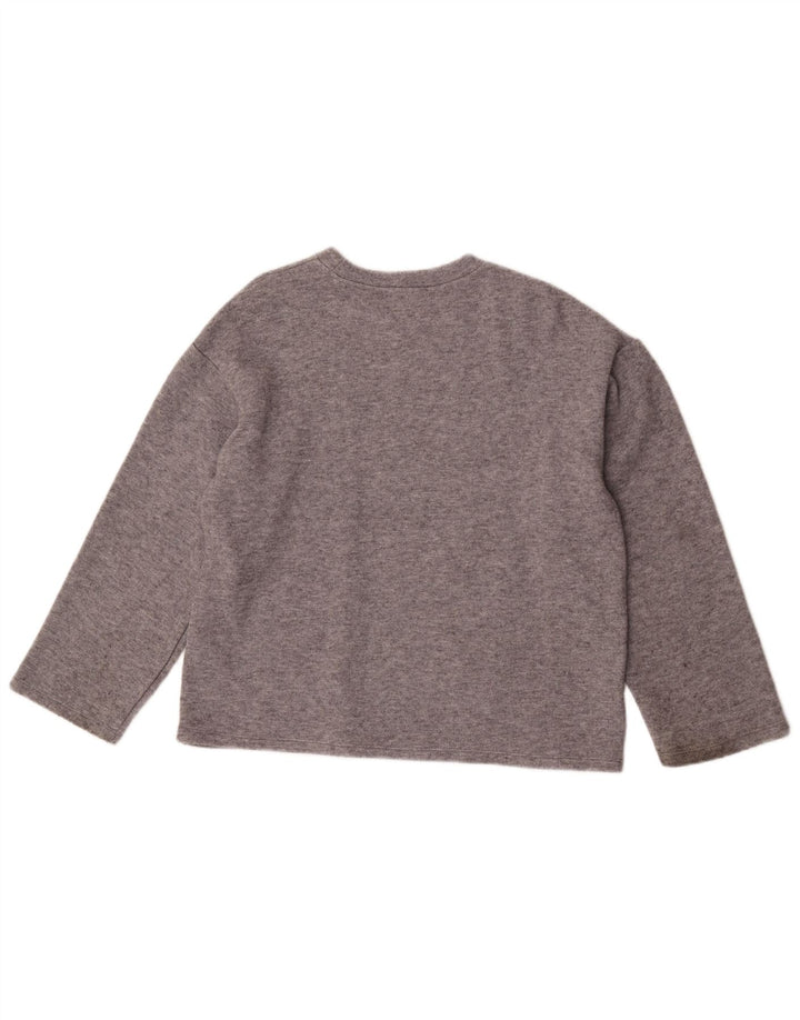 Zara Damen Übergroßes Top Langarm UK 10 Small Graue Viskose
