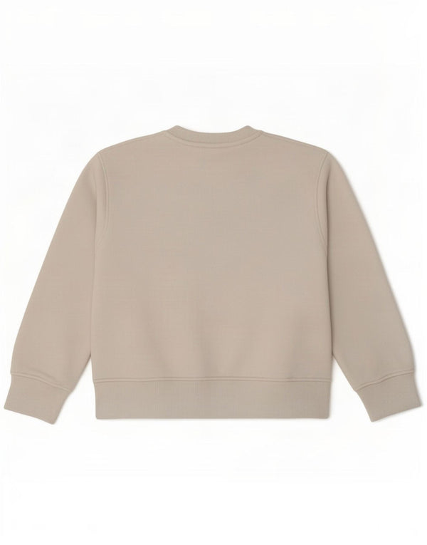 Zara Damen Crop Sweatshirt Pullover UK 10 Small Weiße Baumwolle
