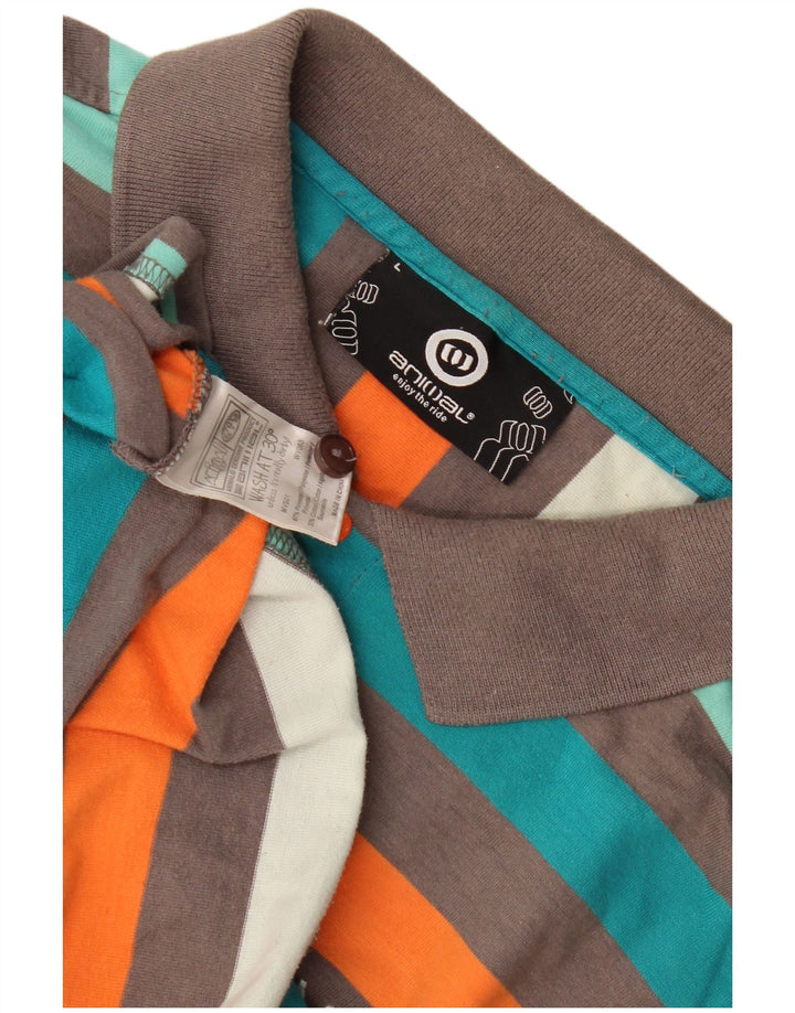 Animal Herren-Poloshirt, groß, mehrfarbig, gestreift, Polyester