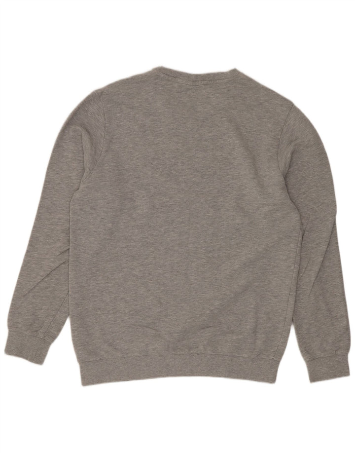 Fila Herren-Sweatshirt mit Grafik, groß, graue Farbblock-Baumwolle