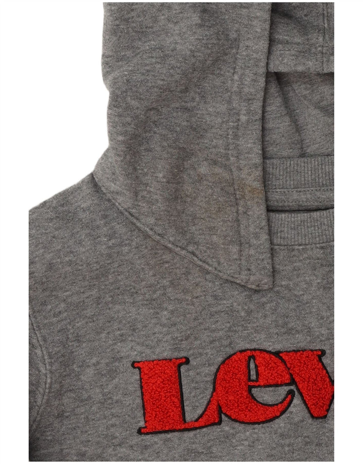 Levi's Jungen-Pullover mit grafischem Kapuzenpullover, 9–10 Jahre, graue Baumwolle