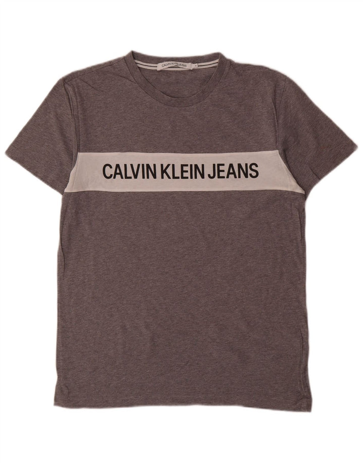Calvin Klein Jeans Herren-T-Shirt mit Grafik, Mittelgrau, Farbblock