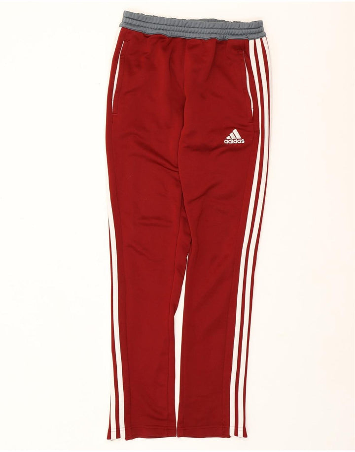 ADIDAS Herren Climalite-Trainingshose, klein, Burgunderrot, Farbblock