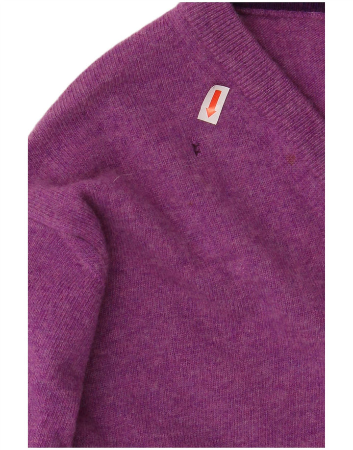 HARMONT & BLAINE Herren-Pullover mit V-Ausschnitt, kleine violette Wolle