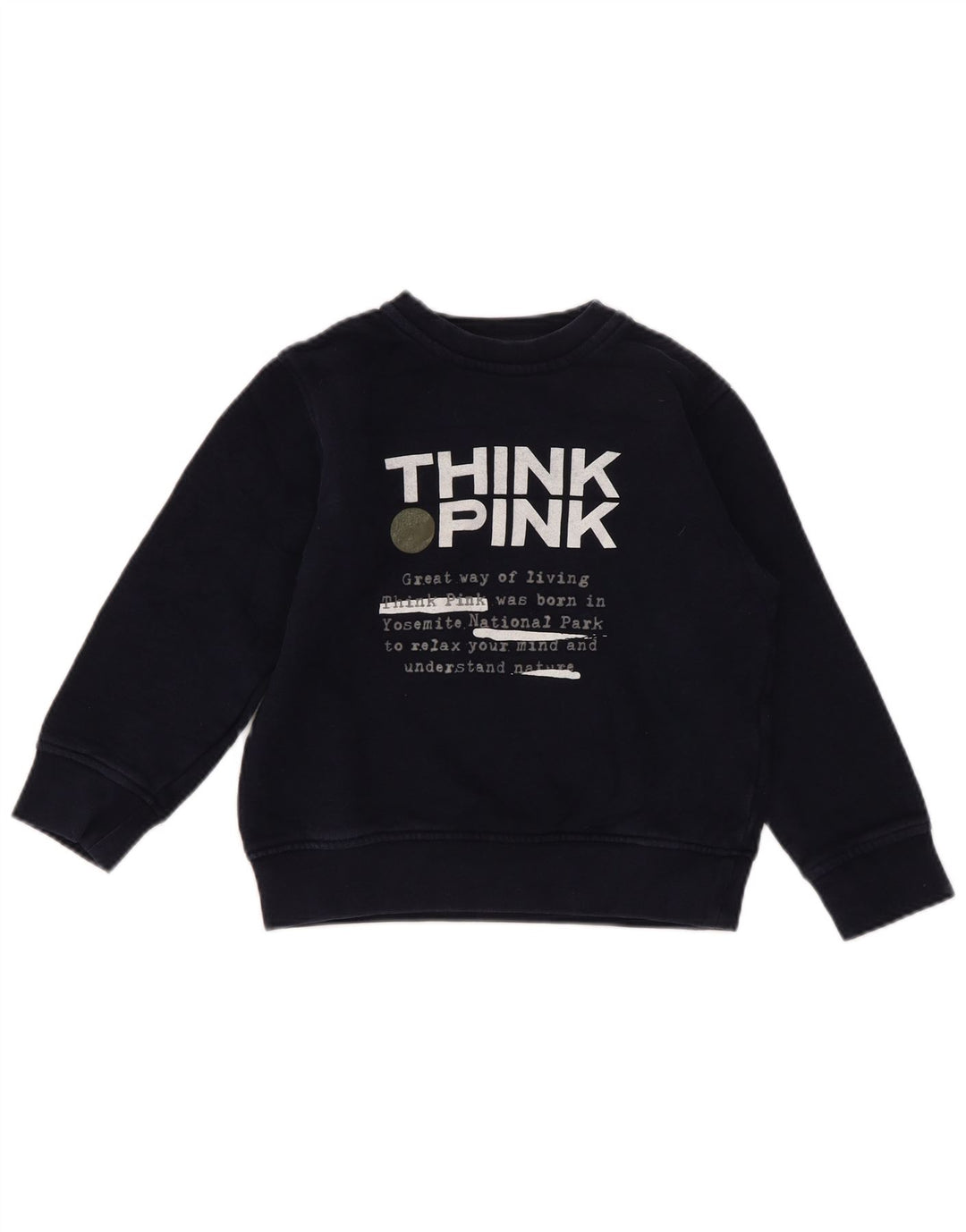 Think Pink Sweatshirt-Pullover mit Grafik für Jungen, reguläre Passform, 4–5 Jahre, Marineblau