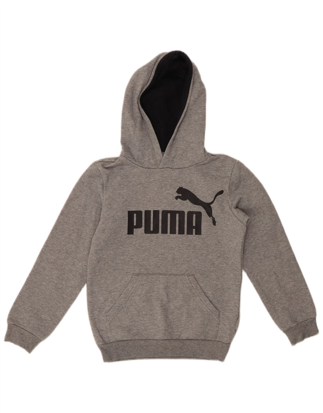 PUMA Jungen Graphic Hoodie Pullover 9-10 Jahre Grau