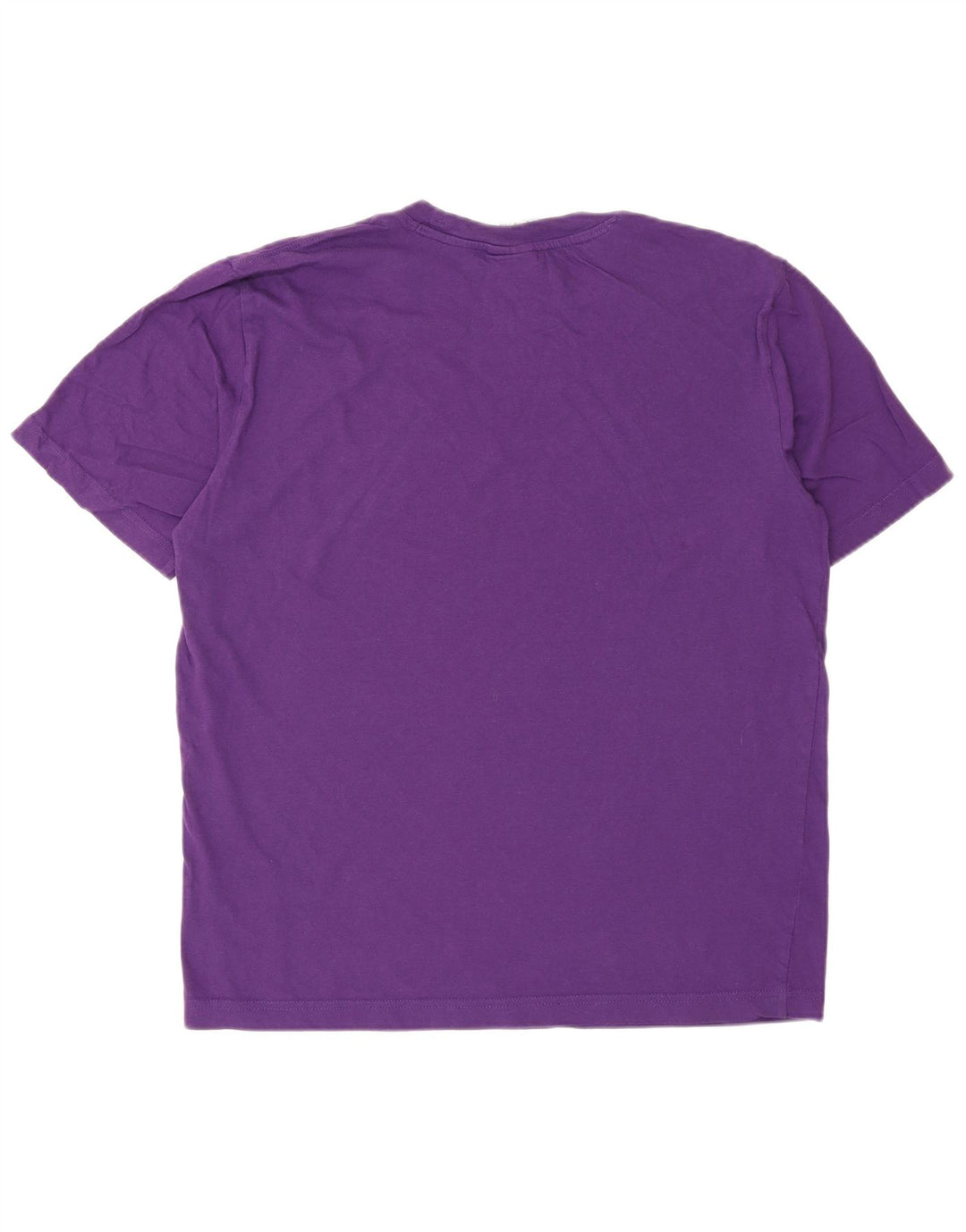 CHAMPION Mens Graphic T-Shirt Top Small Purple