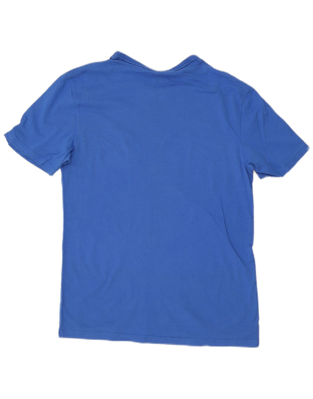 Champion Herren-T-Shirt mit Grafik, Größe S, Blau, Baumwolle