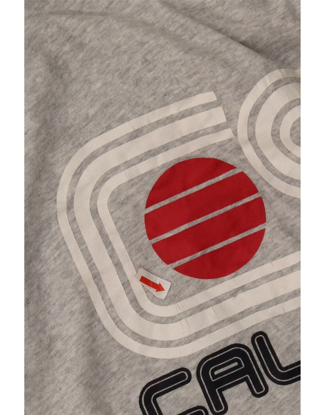 Superdry Herren-T-Shirt mit Grafik, Größe L, Grau, Baumwolle