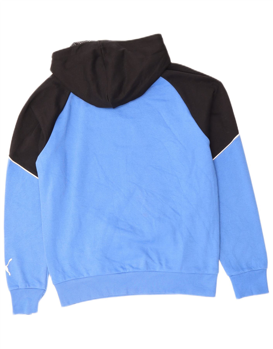 PUMA Herren Graphic Hoodie Pullover Small Blue Colourblock