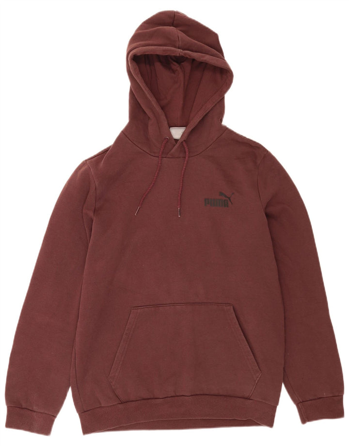 Puma Herren Graphic Hoodie Pullover Kleine braune Baumwolle