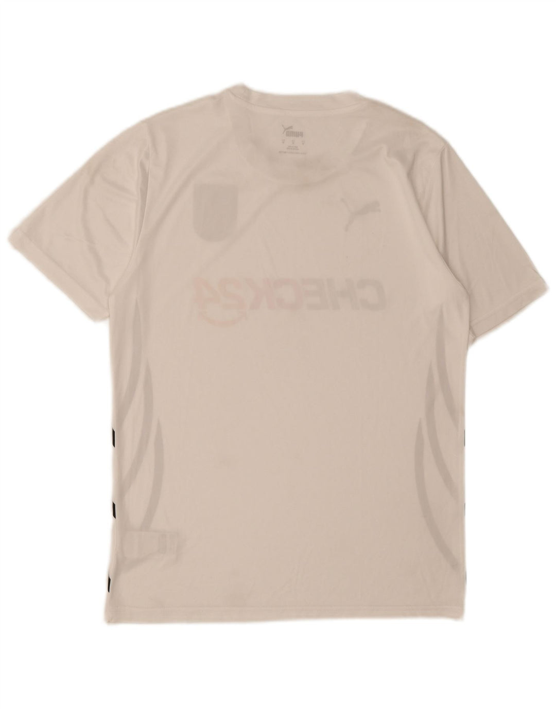 Puma Herren Deutshland Graphic T-Shirt Top Mittelweiß Polyester Sport
