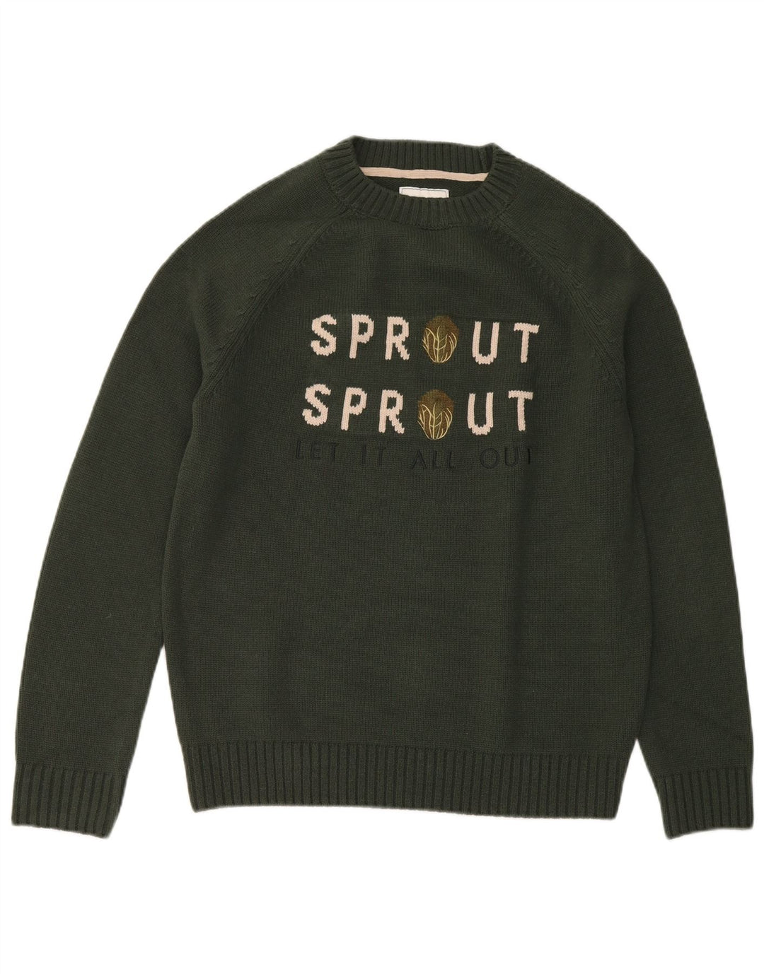 Joules Herren-Pullover mit grafischem Rundhalsausschnitt, mittelgrünes Acryl