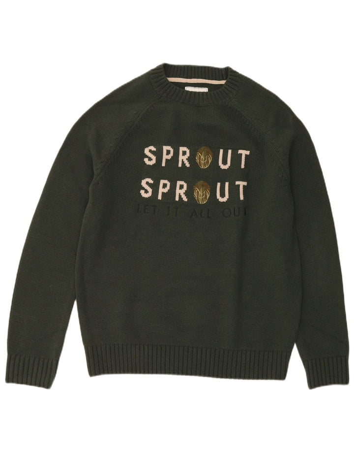 Joules Herren-Pullover mit grafischem Rundhalsausschnitt, mittelgrünes Acryl