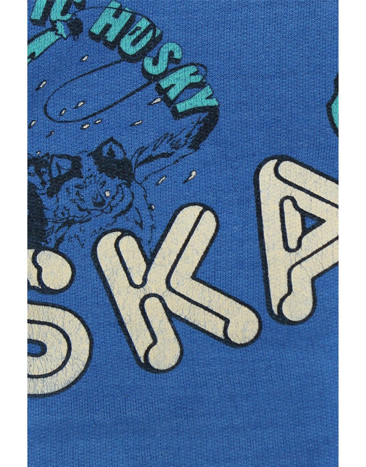 Alaska Herren-Sweatshirt mit Grafik, Größe L, Blau
