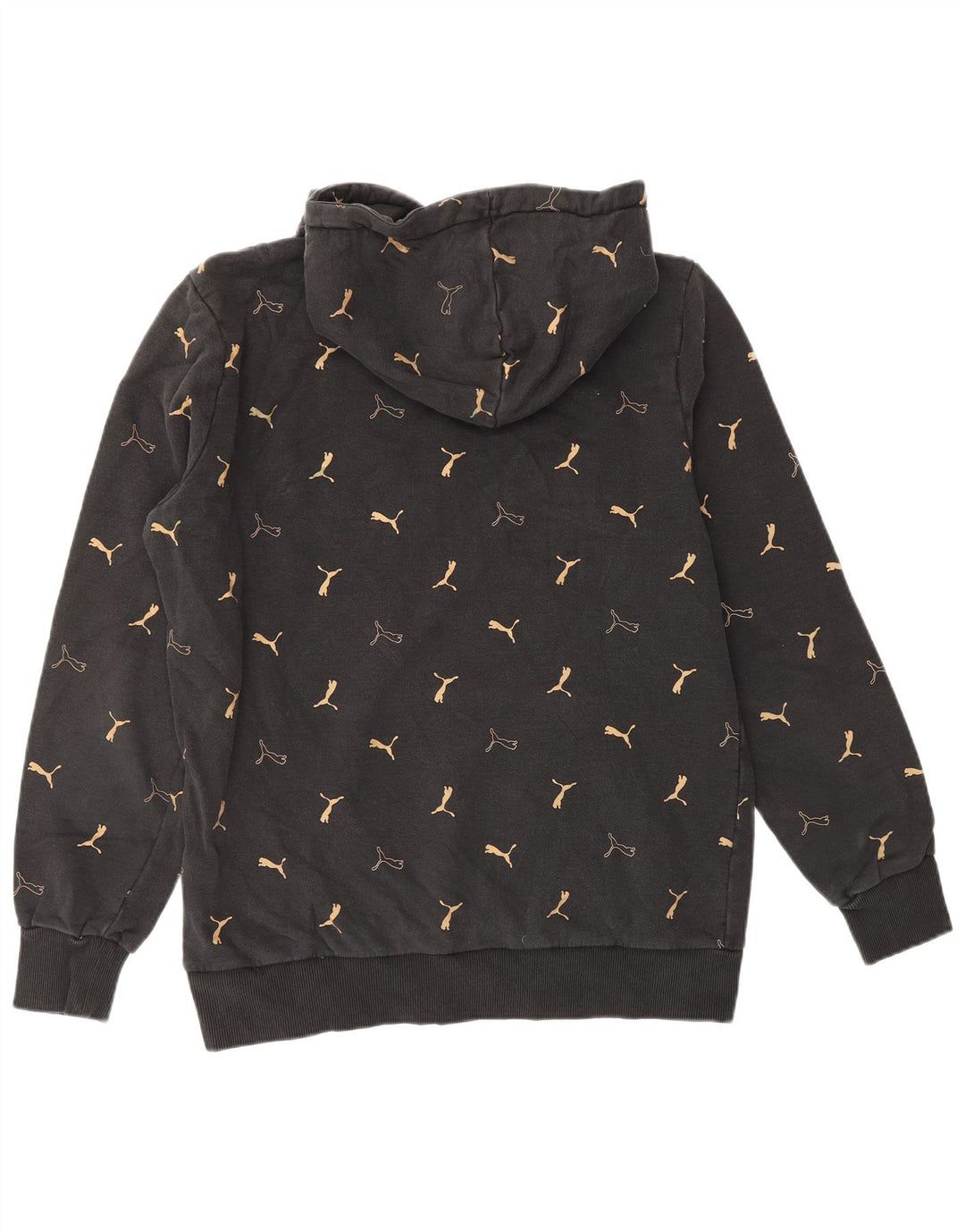 PUMA Herren Graphic Hoodie Pullover Mittelschwarze Baumwolle