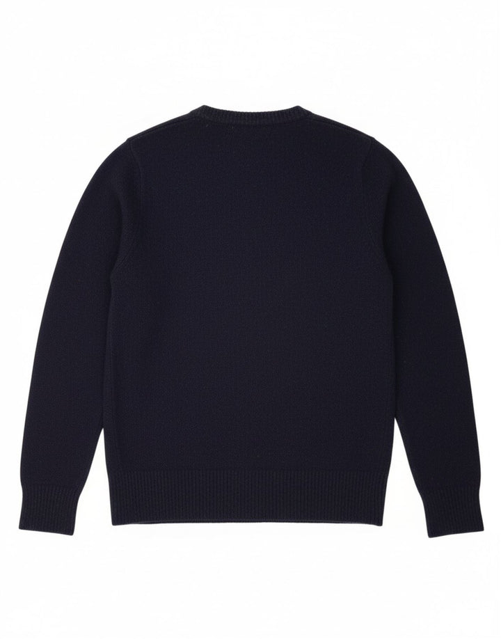 TOMMY HILFIGER Mens V-Neck Jumper Sweater Large Navy Blue Lambswool