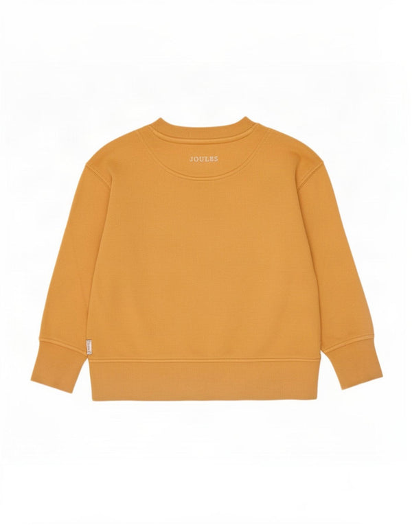 Joules Jungen-Sweatshirt mit Grafik, 2–3 Jahre, gelbe Baumwolle