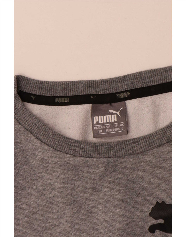 Puma Herren Graphic Sweatshirt Pullover Small Grau