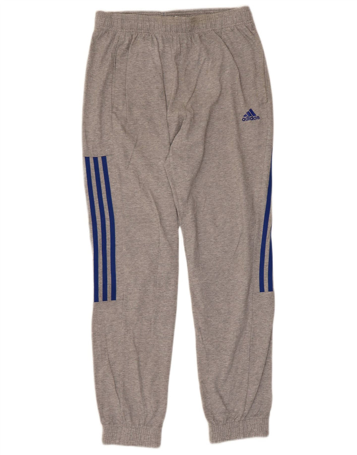 Adidas Herren Trainingshose Jogger mittelgraue Baumwolle