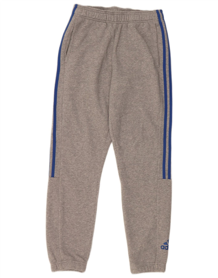 ADIDAS Herren Trainingshose Jogger Mittelgrau