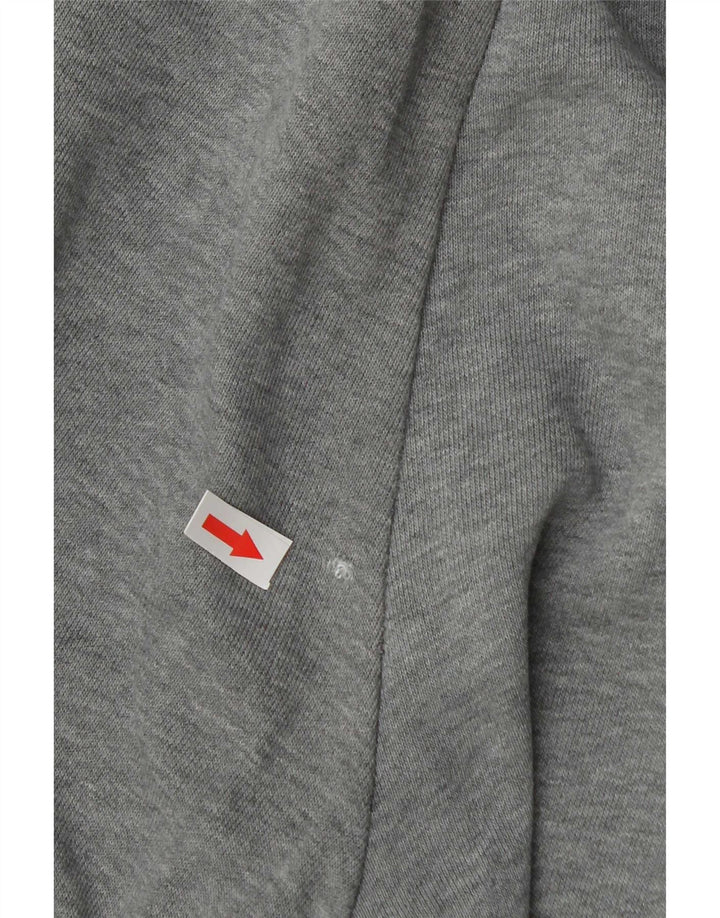 Puma Herren-Trainingshose mit Grafik, mittelgrau, Farbblock