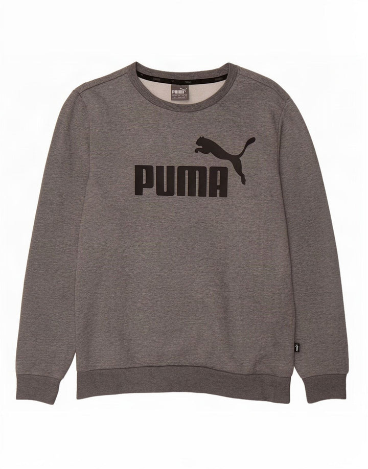 Puma Herren Graphic Sweatshirt Pullover Small Grau