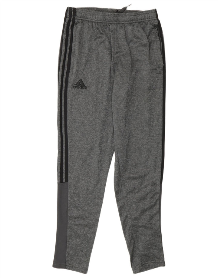 Adidas Herren-Trainingshose, klein, grau, Polyester