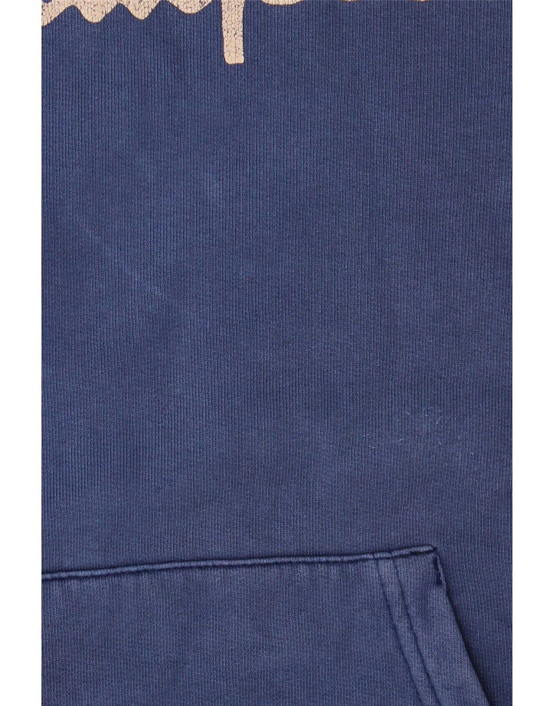 Champion Herren-Kapuzenpullover mit Grafik, Größe L, Blau
