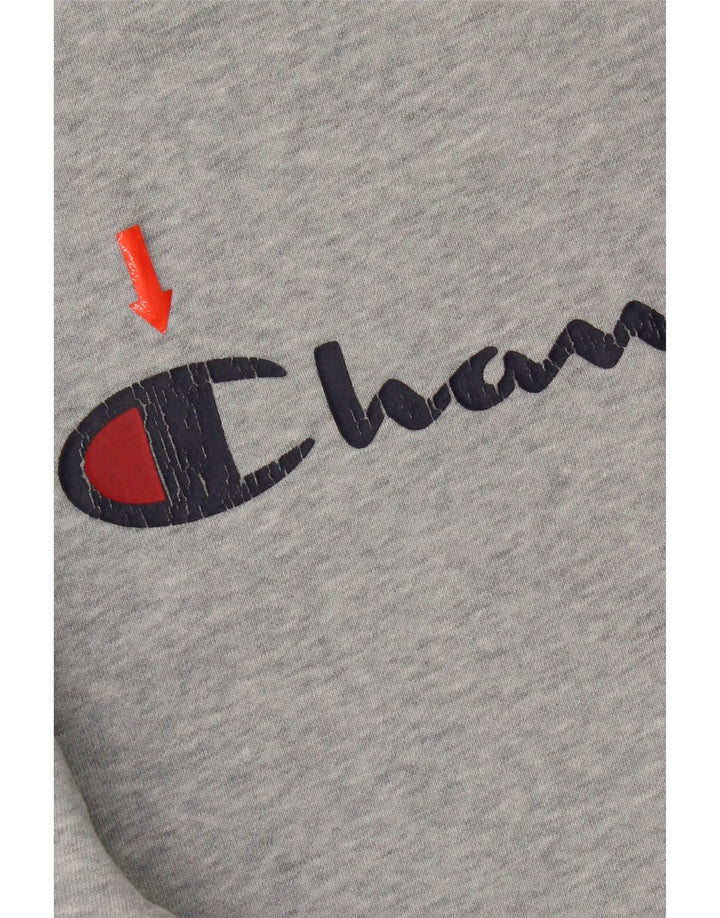 Champion Herren-Sweatshirt mit Grafik, klein, grau meliert, Baumwolle