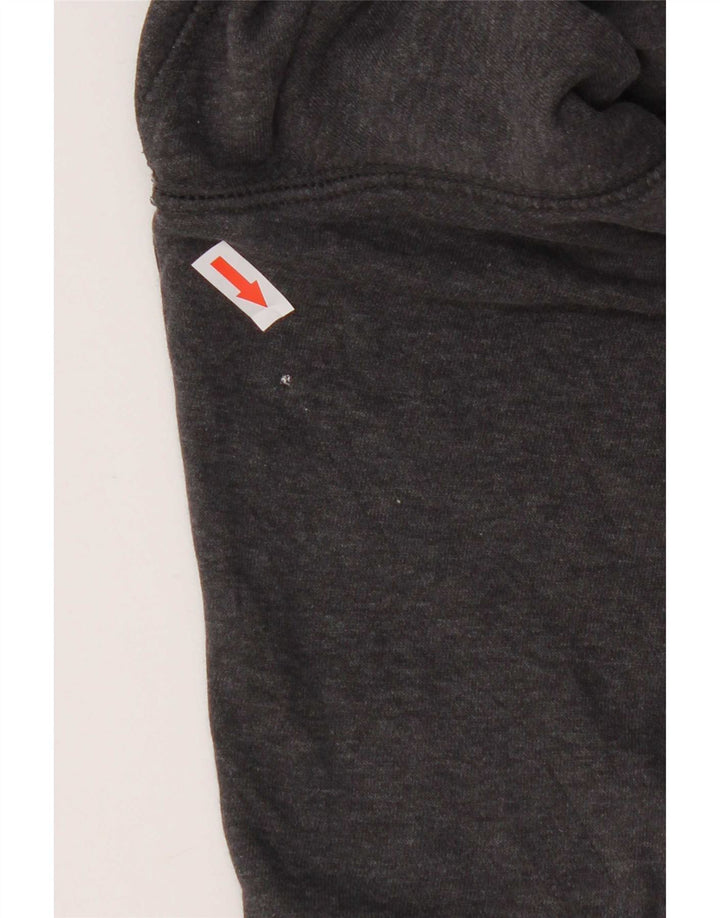Puma Herren Graphic Hoodie Pullover Mittelgrau
