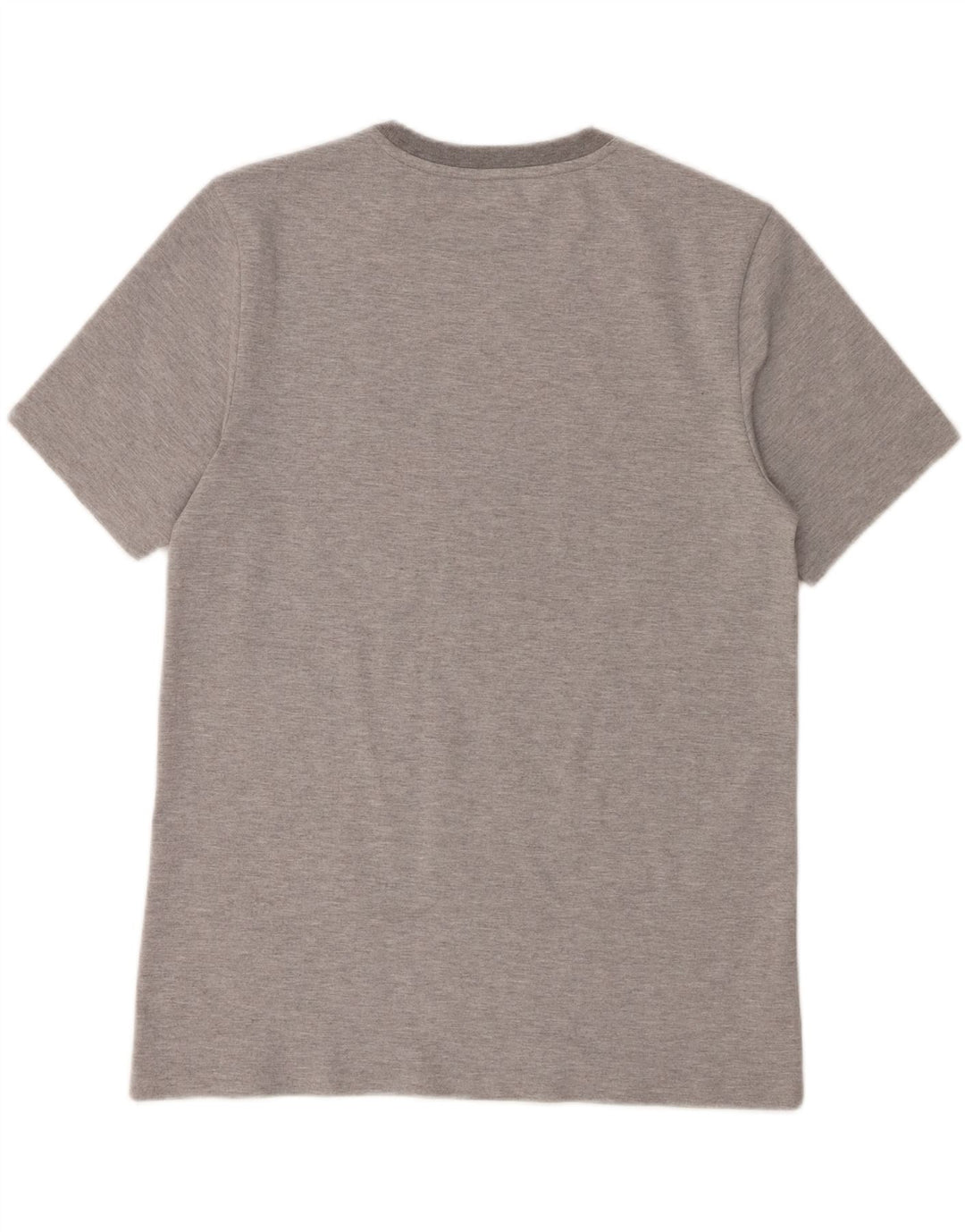 CHAMPION Mens Graphic T-Shirt Top Large Grey Vintage Champion and Second-Hand Champion from Messina Hembry 