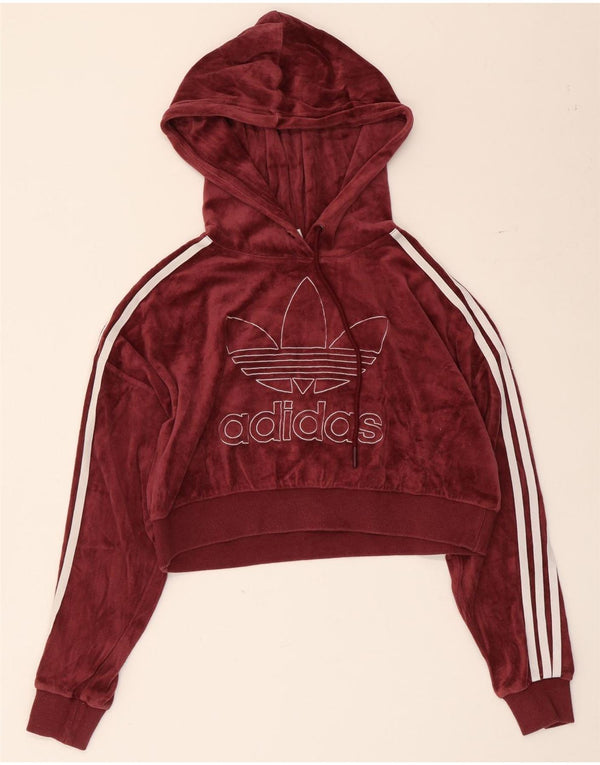 Adidas Womens Oversized Graphic Crop Hoodie Pullover UK 4 XS Burgund Baumwolle