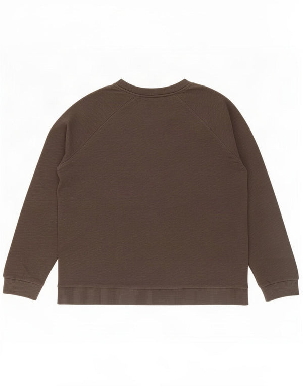 Zara Damen Trafaluc Übergroßes Top Langarm UK 10 Small Grau meliert