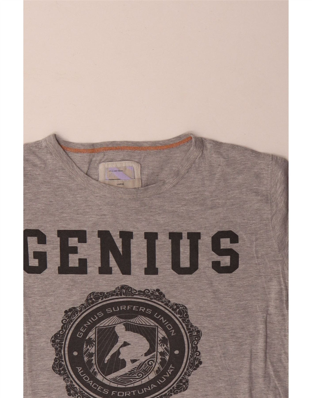 Fat Face Herren-T-Shirt mit Grafik, groß, grau gesprenkelte Baumwolle