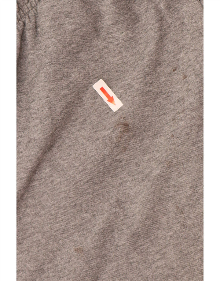 Puma Herren Graphic Sport Shorts Mittelgrau