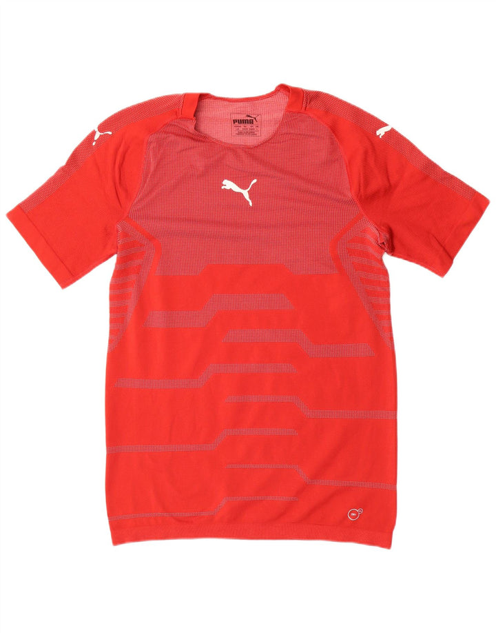 Puma Herren T-Shirt mit Grafik, groß, rot gestreift