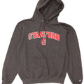 Champion Herren Stanford Graphic Hoodie Pullover mittelgraue Baumwolle