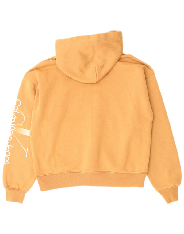 CALVIN KLEIN JEANS Damen Übergroßer Kapuzenpullover UK 10 Small Beige