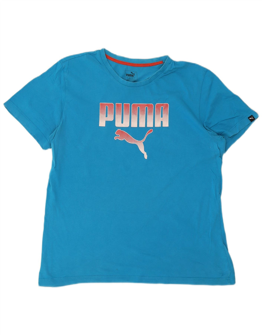 Puma Herren T-Shirt mit Grafik, Größe L, Blau