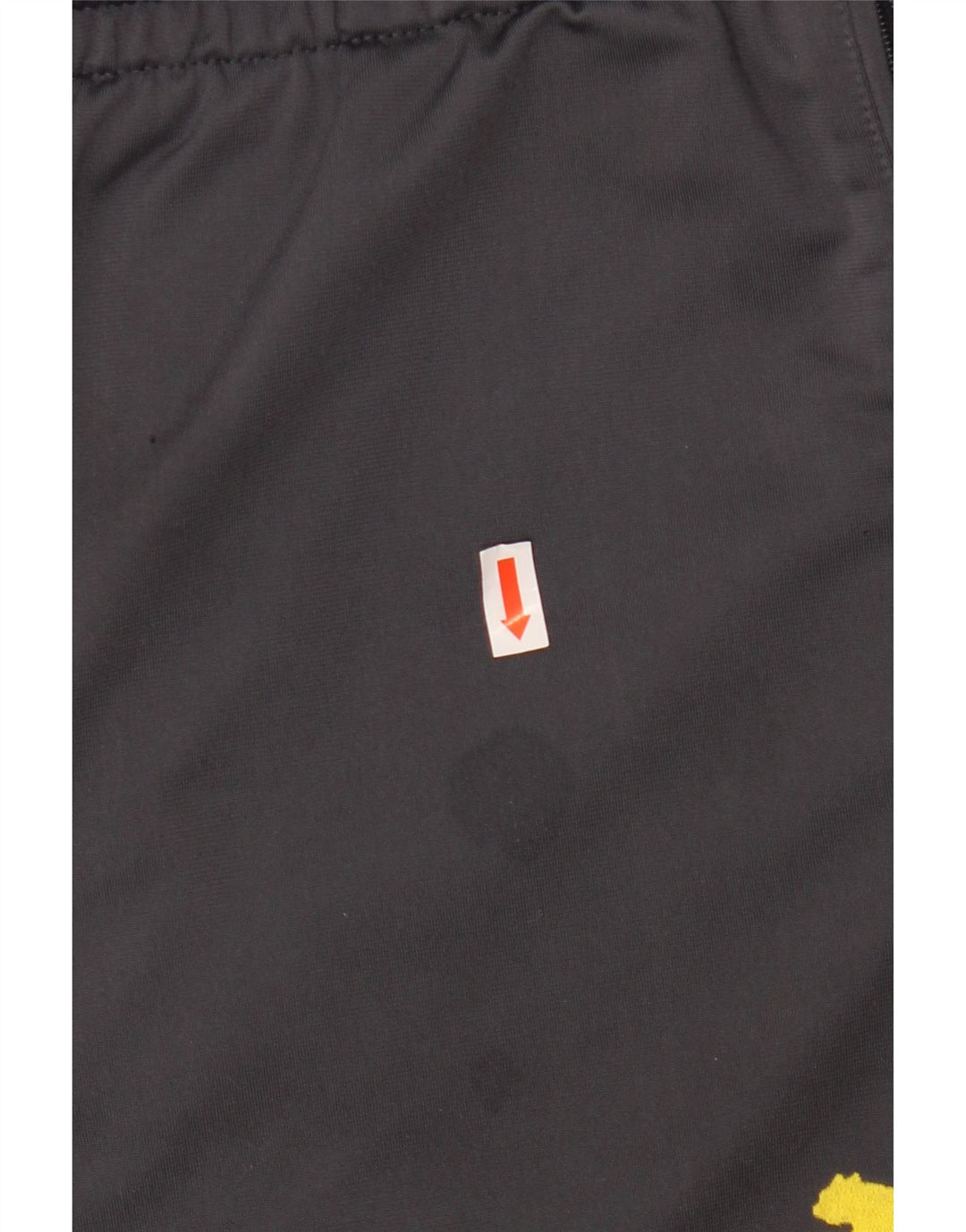 PUMA Herren BVB Dortmund Trainingshose XL Grau Farbblock