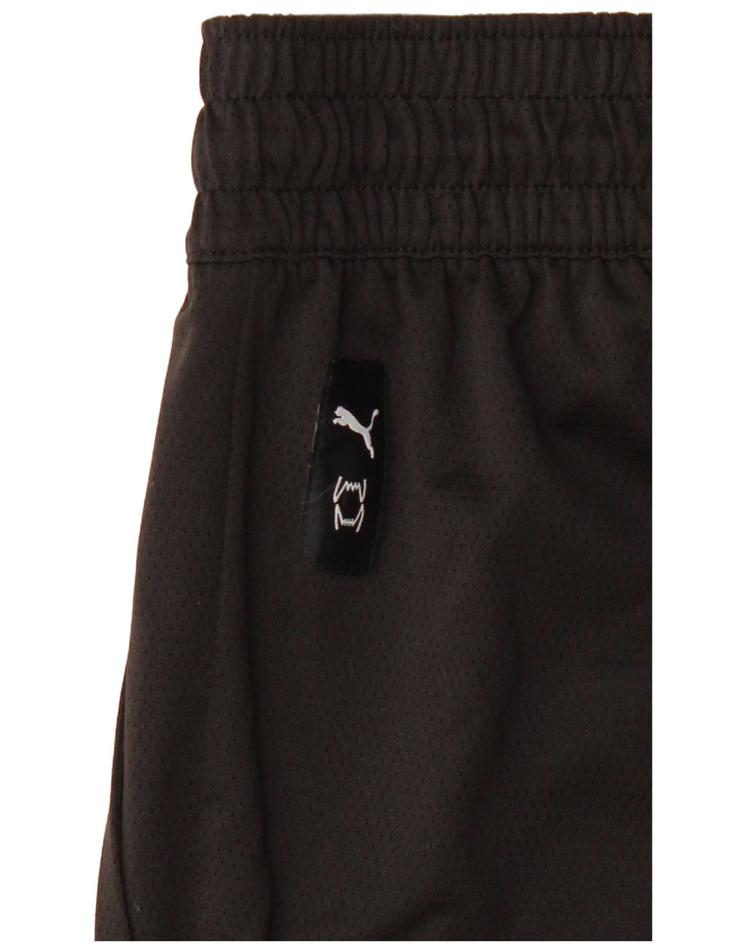 Puma Herren Sportshorts Large Schwarz