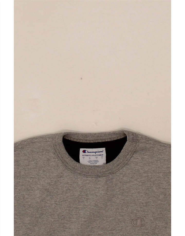 CHAMPION Mens Sweatshirt Jumper Medium Grey Flecked Cotton Vintage Champion and Second-Hand Champion from Messina Hembry 