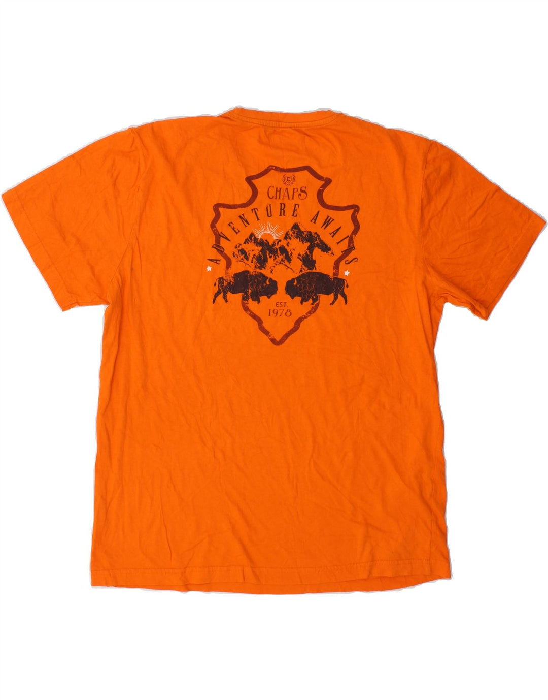 CHAPS Mens Graphic T-Shirt Top Large Orange Cotton Vintage Chaps and Second-Hand Chaps from Messina Hembry 