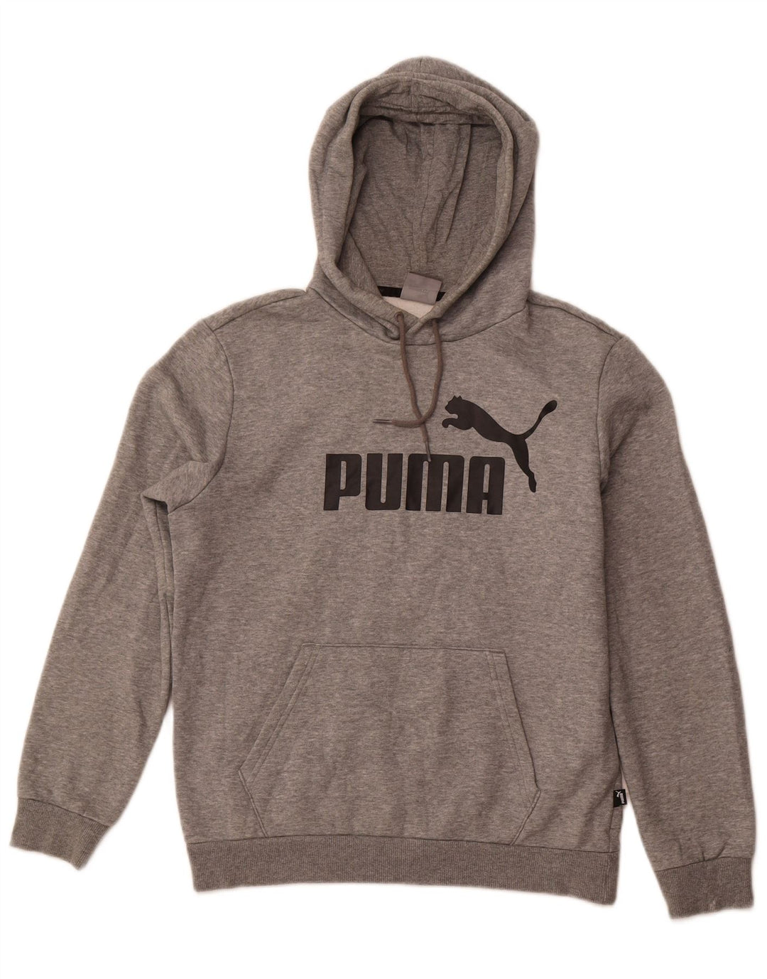 Puma Herren Graphic Hoodie Pullover Small Grau