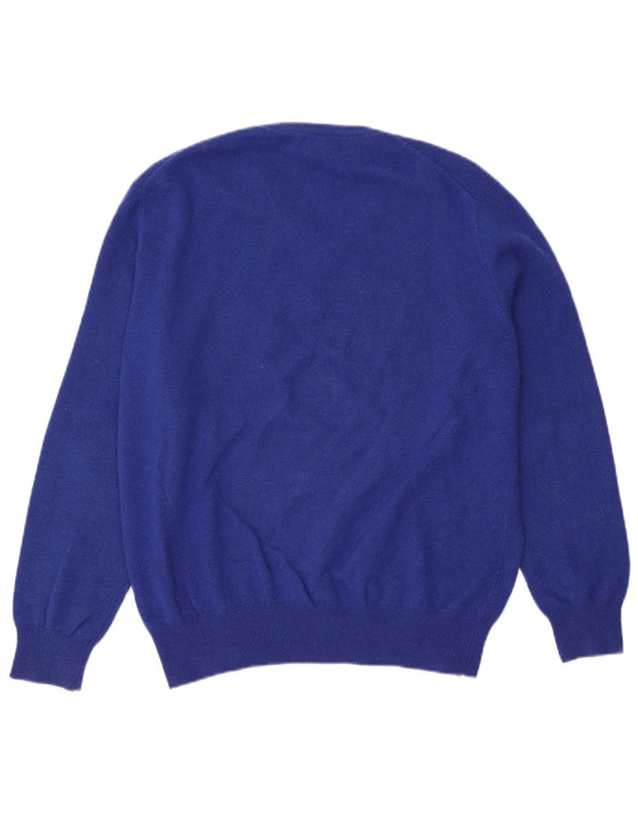 Polo Ralph Lauren Herren-Pullover mit V-Ausschnitt, Größe L, Blau