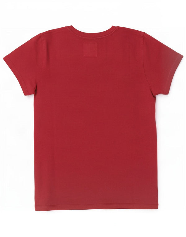 Hollister Womens Graphic T-Shirt Top UK 10 Small Maroon Cotton