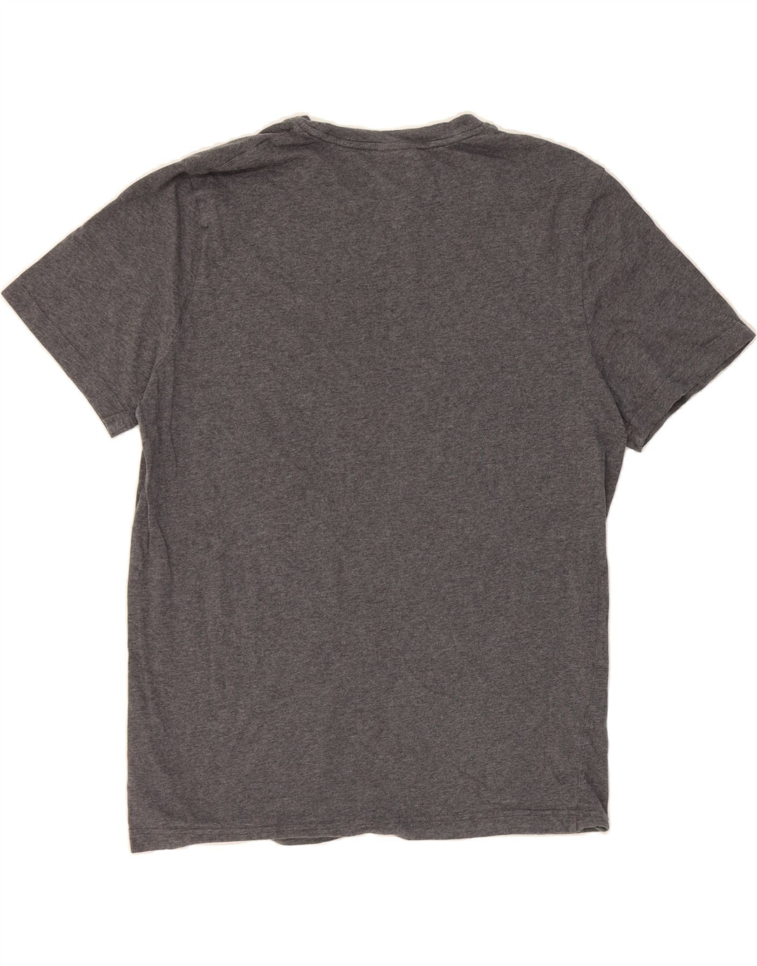 CANTERBURY Mens Graphic T-Shirt Top Large Grey Cotton Vintage Canterbury and Second-Hand Canterbury from Messina Hembry 