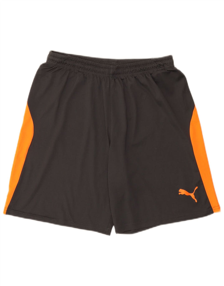 Puma Herren Sportshorts mittelgraues Colourblock-Polyester